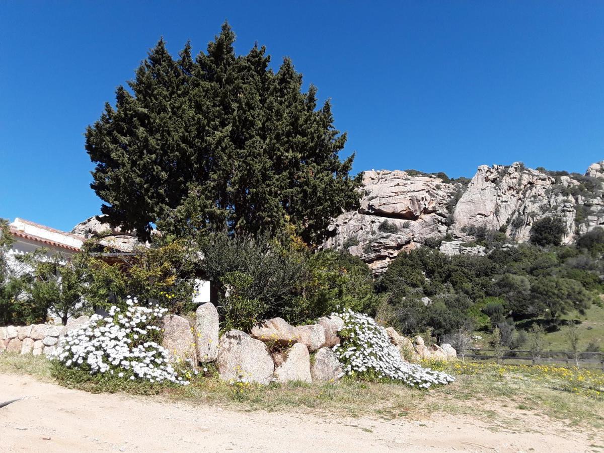 Lu Lisandru Abbiadori Dış mekan fotoğraf